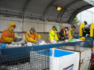 MR Recycling Depot - Plastics Sort Line