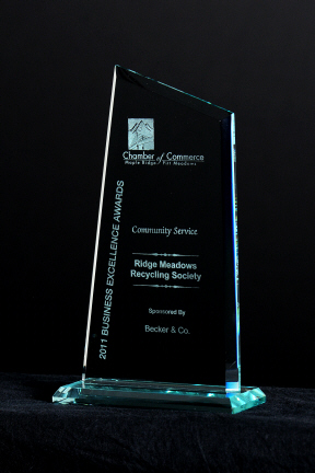 2011 RMRS Business Excellence Award for Community Service