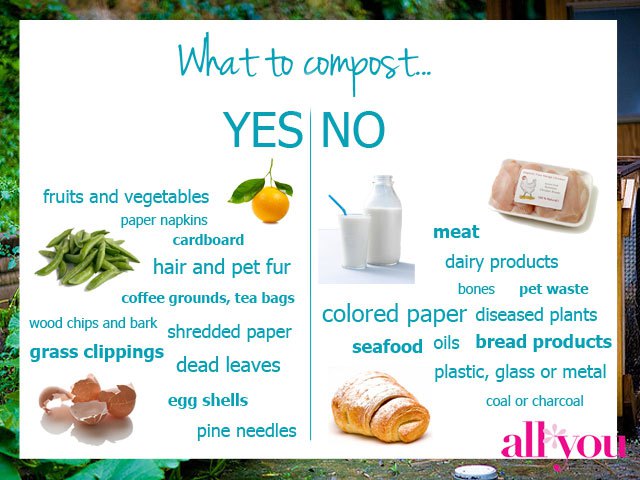 What to Compost Yes-No